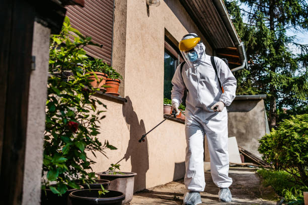 Best Affordable Pest Control Services  in Indian Hills, NM