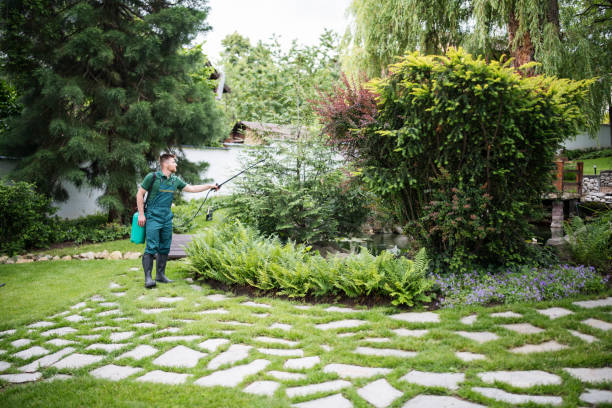 Best Commercial Pest Control Services  in Indian Hills, NM