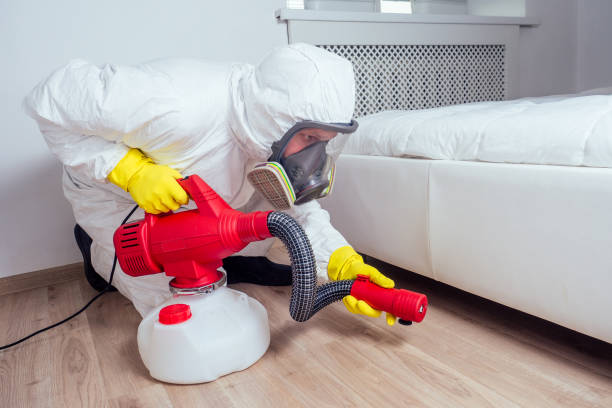 Best Mosquito Control Services  in Indian Hills, NM
