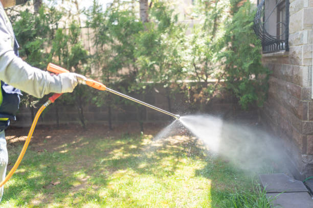 Best Best Pest Control Companies  in Indian Hills, NM