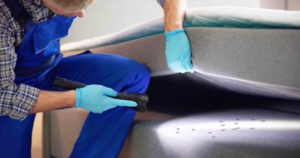 Best Exterminator Services  in Indian Hills, NM