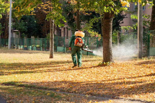 Pest Prevention Services in Indian Hills, NM