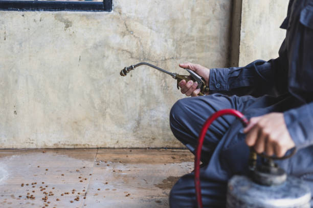 Best Pest Control Near Me in Indian Hills, NM